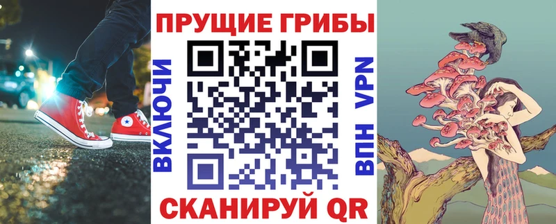 Купить где  Новочебоксарск  Галлюциногенные грибы мухоморы 